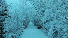 Ein verschneiter Weg in Giswil. (Bild: Claudia Halter, 10. Januar 2019)