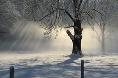 Wunderbare Winterstimmung dank Sonne, Nebel und glitzerndem Schnee.