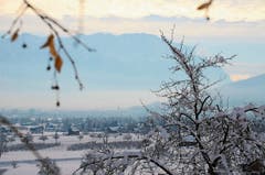 Blick von Gams in Richtung Buchs.