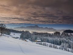 Die Ruhe nach dem grossen Schneefall, aufgenommen bei Egg Herisau. (Bild: Luciano Pau)