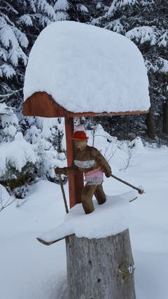 Junge Dame übt sich im LL auf der Pulverschneeloipe im Eigenthal. (Bild: Willy Birrer (Eigenthal, 11. Januar 2019))