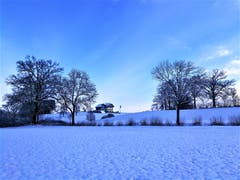 Morgenstimmung in der Winterlandschaft in Neuenkirch. (Bild: Urs Gutfleisch, 11. Januar 2019)