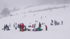Hochbetrieb am Schlittelhang beim Scheitlinsbüchel. (Leserbild: Franz Häusler - 5. Januar 2019)
