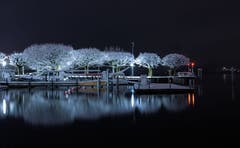Die winterlichen Bäume spiegeln sich im dunklen See. (Bild: Daniel Hegglin, 10. Januar 2019)