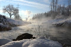 Am renaturierten Werdenberger Binnenkanal zeigt sich die Natur von ihrer schönsten Seite.