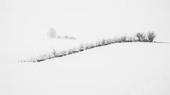 Schnee in Hülle und Fülle auf dem Kapf. (Bild: Franz Häusler)