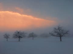 Die Sonne kommt, aufgenommen in Montlingen. (Bild: Toni Sieber)