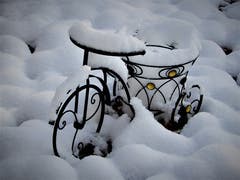 «I love my bicycle» ! Aufgenommen in Meggen. (Bild: Margrith Imhof-Röthlin (Meggen, 11. Januar 2019))
