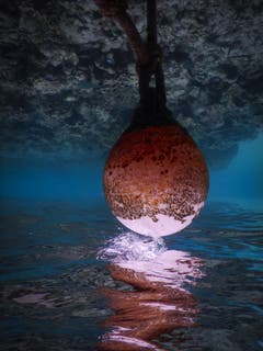 Goran Lukic aus Arth taucht in magische Unterwasserwelten ab.