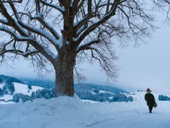 Silvesterchläuse unterwegs im tief verschneiten Appenzellerland. (Bild: KEYSTONE/GIAN EHRENZELLER)