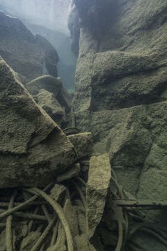 Im Sommer 2018 realisierte sie als Tauchfotografin die Serie "Brutal schän!"