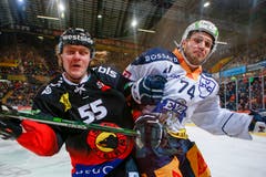 Es wurde mit harten Bandagen gekämpft - hier Berns Andersson und Zugs Morant. (Bild: Marc Schumacher/freshfocus (Bern, 12.01.2019))