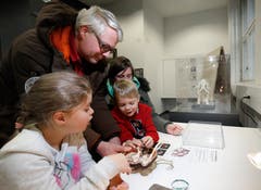 Livia, Olivier, Monica und Lukas Burger (von links) setzen ein Mammut zusammen. (Bild: Stefan Kaiser (Zug, 13. Januar 2019))