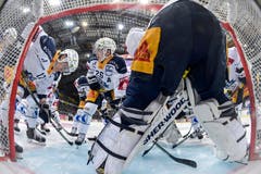 Die Zuger Yannick Zehnder, Reto Suri und Tobias Stephan (von links) schwören sich auf die Partie ein. Bild: Peter Klaunzer / Keystone (Bern, 12. Januar 2019)