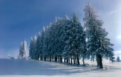 «Herrliches Winterwetter und wunderbare Schneeverhältnisse auf dem Zugerberg», findet unser Leser Peter Bumbacher. (Bild: Peter Bumbacher (11. Januar 2019))