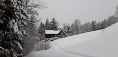 Winterliches Appenzeller Heimet unterhalb Rehetobel. (Bild: Klaus Businger)
