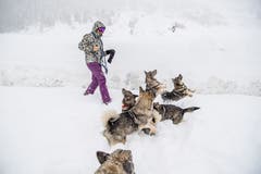 Eine Frau und ihre Hunde geniessen den Schnee. (Bild: Nadia Schärli (Andermatt, 14. Januar 2019))