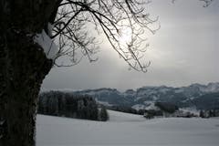 Schneeschuhtour zum Hohen Hirschberg (Bild: Vreni Tanner)