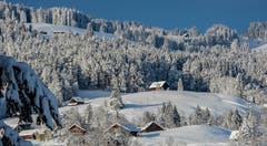 Schneelandschaft rund um Nesslau. (Bild: Renato Maciariello)