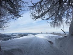 Kreuzhof, St. Gallen (Bild: Petra Fäh)