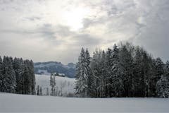 Blick zur Mans vom Hohen Hirschberg aus. (Bild: Vreni Tanner)
