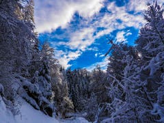 Spaziergang im verschneiten Nesslau. (Bild: Renato Maciariello)