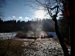 Die wärmenden Sonnenstrahlen bringen im Foremoos den kleinen, mysteriösen Naturteich zum kochen. (Bild: Margrith Imhof-Röthlin, Adligenswil, 15. Januar 2019)