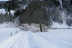 (Bild: Beat Christen / Gemeinde Engelberg)