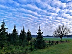 Heute Morgen konnte man wunderbare Schafswolken am Himmel beobachten. (Bild: Urs Gutfleisch, Blatten bei Malters, 15. Januar 2019)