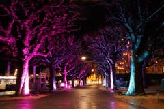 Der Quai zeigt sich am Lichtfestival in seinem schönsten Kleid. (Bild: Xaver Husmann, Luzern, 14. Januar 2019)
