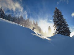 Der Nebel kam und ging und zauberte eine mystische Stimmung auf der Gummenalp. (Bild: Regula Aeppli, 12. Januar 2019)