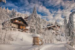 Wintermärchenlandschaft Rigi. (Bild: Caroline Pirskanen, Rigi Kaltbad 15. Januar 2019)