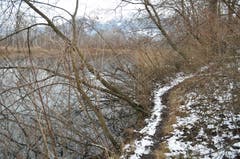 In Diepoldsau kann man direkt am Wasser entlang wandern.