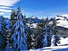 Wintermärchen im Sörenberg. (Urs Gutfleisch (16. Januar 2019))