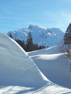 Auf dem Wanderweg zum Ristis. (Bild: Pia Muff (Engelberg, 16. Januar 2019))