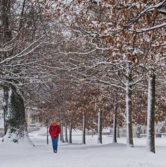 Es schneielet im Stadtpark (Bild: Franziska Hörler)