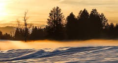 Das Ricken-Hochmoor bei Sonnenuntergang. Bild: Ralph Brühwiler)