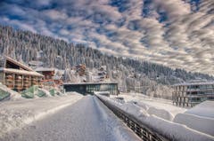 Wintermorgen auf Rigi. (Bild: Caroline Pirskanen (Rigi Kaltbad, 15. Januar 2019))