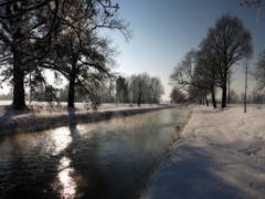 Winterstimmung am Rheintaler Binnenkanal. (Bild: Toni Sieber)