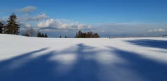 Blau und Weiss im Zusammenspiel auf der Eggersrieter Höhe (Bild: Klaus Businger)