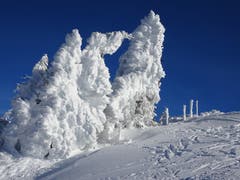 Im Winter-Märchenland: Auf einer Schneeschuhtour auf den Tanzboden-Rieden. (Bild: Petra Mullis)