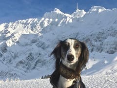 Shervin meint: Cool, dieser Säntis. (Bild: Dagmar Wemmer)