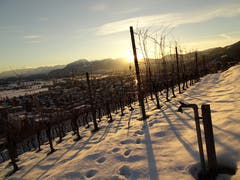 Das Rheintal mit Alpstein im Sonnenuntergang bei der Fähneren (Bild: Toni Weder)