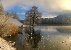 Der Morgen am Rotsee (Bild: Roger Stutz (Rotsee, 18. Januar 2019))