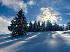 Winterliches Lichtspiel auf dem Raten (Bild: Peter Bumbacher (Raten, Oberägeri, 18. Januar 2019))