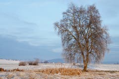 Unterwegs im Wauwiler Moos bei mindestens -5 Grad. (Bild: Irene Wanner (Wauwil, 19. Januar 2019))