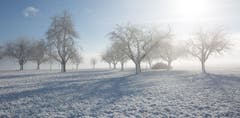 Endlich wieder einmal richtig Winter. (Bild: Priska Ziswiler-Heller (Ettiswil, 18. Januar 2019))