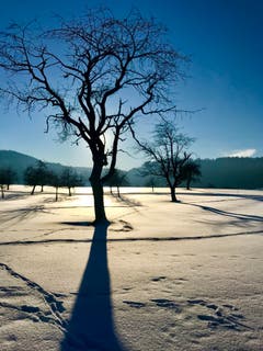 Die letzten Sonnenstrahlen kurz vor Sonnenuntergang. (Bild: Peter Bumbacher (Unterägeri, 19. Januar 2019))