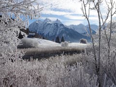 Winterwonderland Studen SZ. (Bild: Walter von Holzen (Studen, 19. Januar 2019))