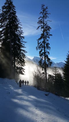 Nebelstimmungen auf dem Klangweg im Toggenburg. (Bild: Gillas Willi)